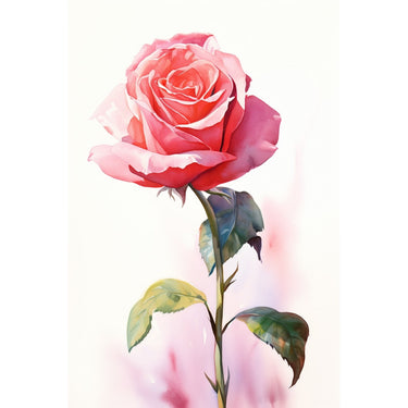 Pink Rose Oil Canvas